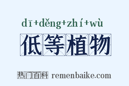 低等植物是什么意思的图片